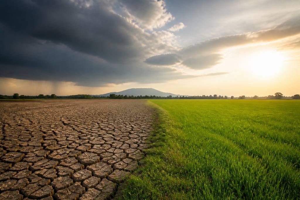 Meteo mondiale : les tendances climatiques qui transforment notre planète